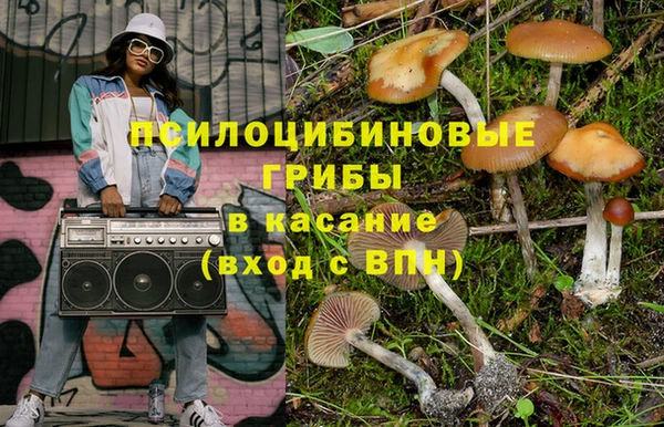 ПСИЛОЦИБИНОВЫЕ ГРИБЫ Лагань