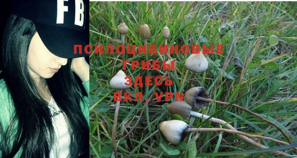 ПСИЛОЦИБИНОВЫЕ ГРИБЫ Лагань