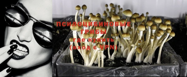 ПСИЛОЦИБИНОВЫЕ ГРИБЫ Лагань