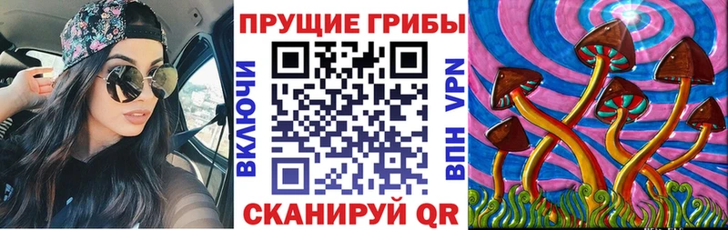 Псилоцибиновые грибы Magic Shrooms  Купить закладки  Владивосток 